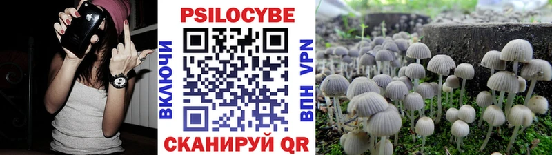 Галлюциногенные грибы Cubensis  МЕГА ссылки  Городовиковск  продажа наркотиков 